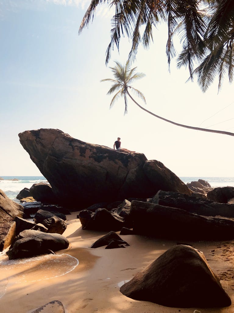 Man sitting on a rock by the beach with a palm tree against a bright sky in Sri Lanka.