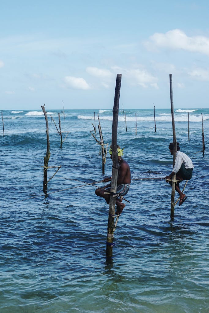 Stilt fishermen in Sri Lanka skillfully fish from poles over the ocean, showcasing traditional fishing techniques.